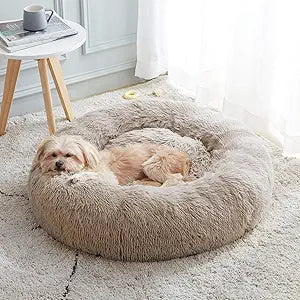 Personalized Pet Beds: Ultimate Comfort & Well-Being for Your Best Friend!