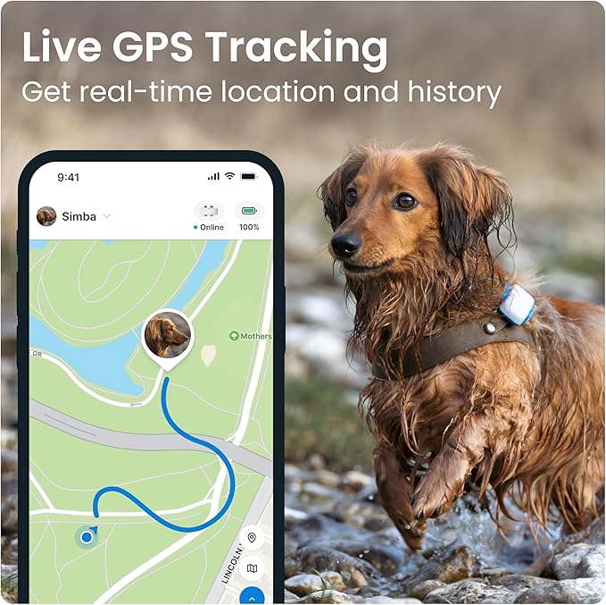 Tractive GPS Tracker: Live Tracking, Virtual Fences & Activity Monitoring!