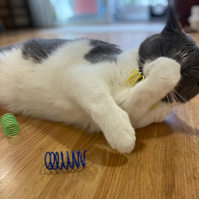 Colorful Cat Spring Toys: Unleash Their Inner Hunter!