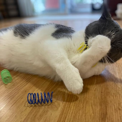 Colorful Cat Spring Toys: Unleash Their Inner Hunter!