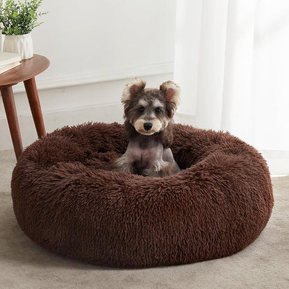 Personalized Pet Beds: Ultimate Comfort & Well-Being for Your Best Friend!