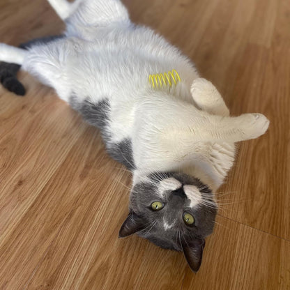 Colorful Cat Spring Toys: Unleash Their Inner Hunter!