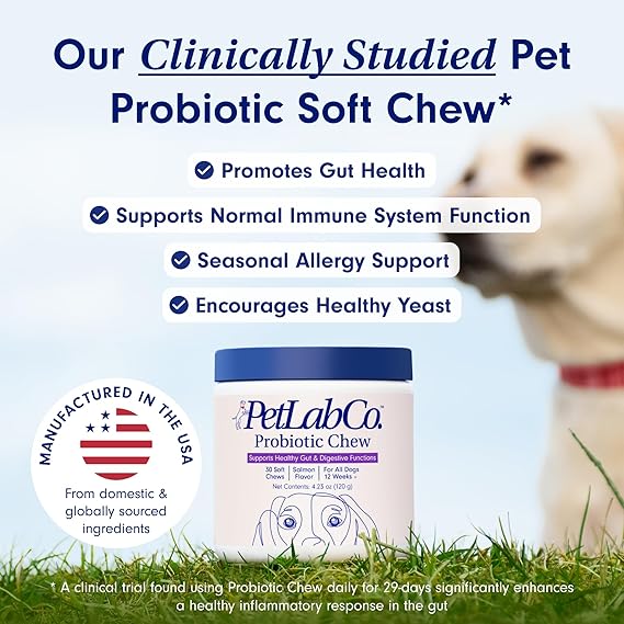 Chewable Probiotics for Dogs: Allergy, Digestion & Immune Support!