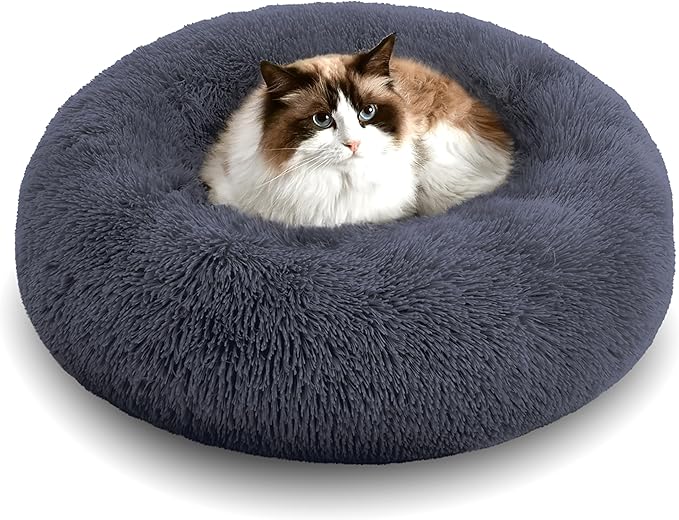 Personalized Pet Beds: Ultimate Comfort & Well-Being for Your Best Friend!