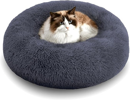 Personalized Pet Beds: Ultimate Comfort & Well-Being for Your Best Friend!