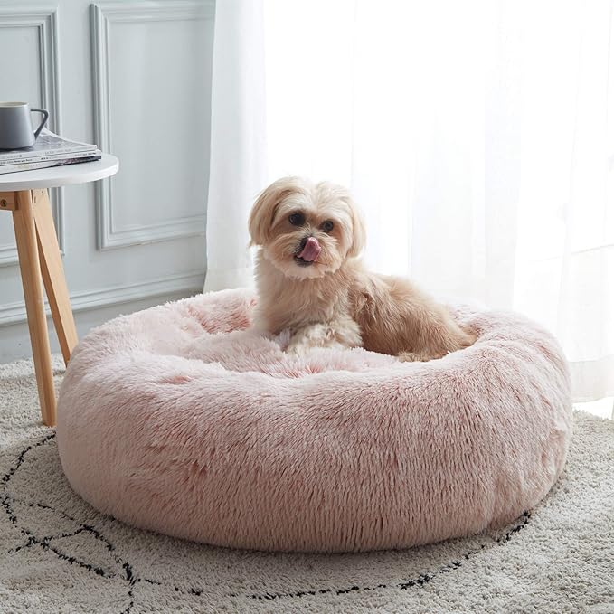 Personalized Pet Beds: Ultimate Comfort & Well-Being for Your Best Friend!