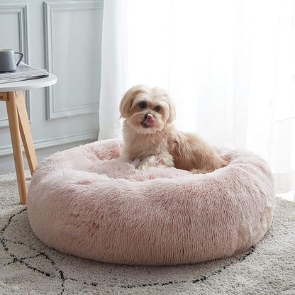 Personalized Pet Beds: Ultimate Comfort & Well-Being for Your Best Friend!