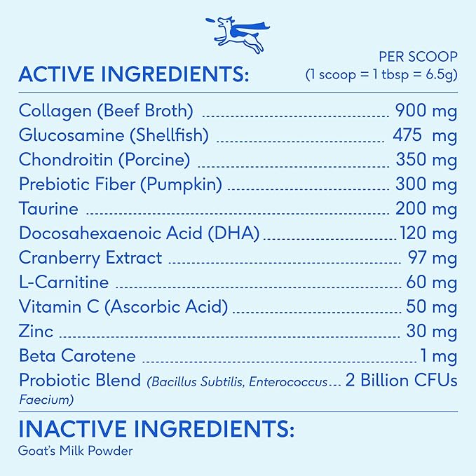 Powdered Multivitamin for Dogs: Boost Immunity & Total Well-Being!