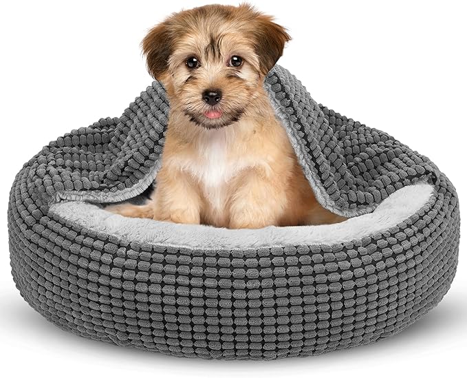 Siwa Marry 2-in-1 Hooded Pet Bed: Peaceful Rest & Cozy Comfort!