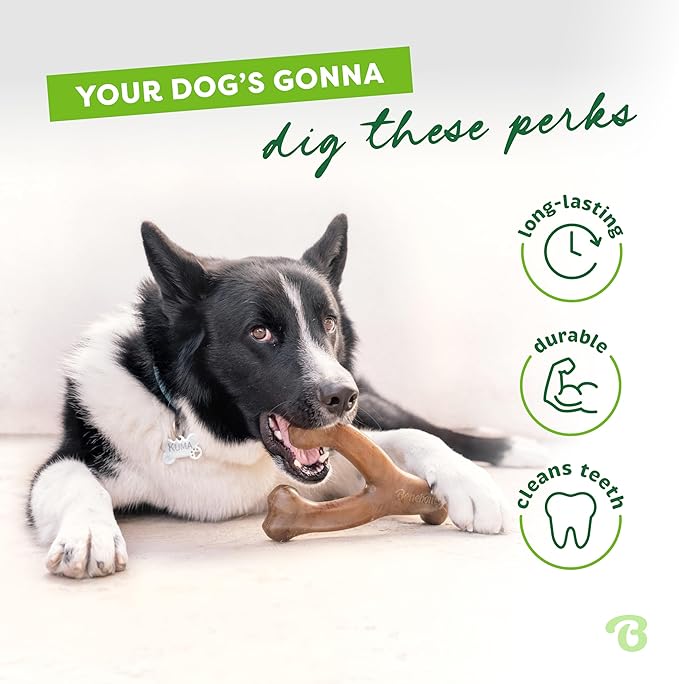 Benebone Wishbone: Indestructible Dog Bone with Real Bacon Flavor!