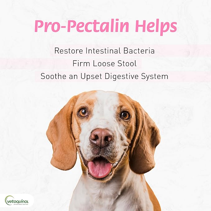 Pro-Pectalin: Fast, Gentle Diarrhea Relief for Dogs & Cats!