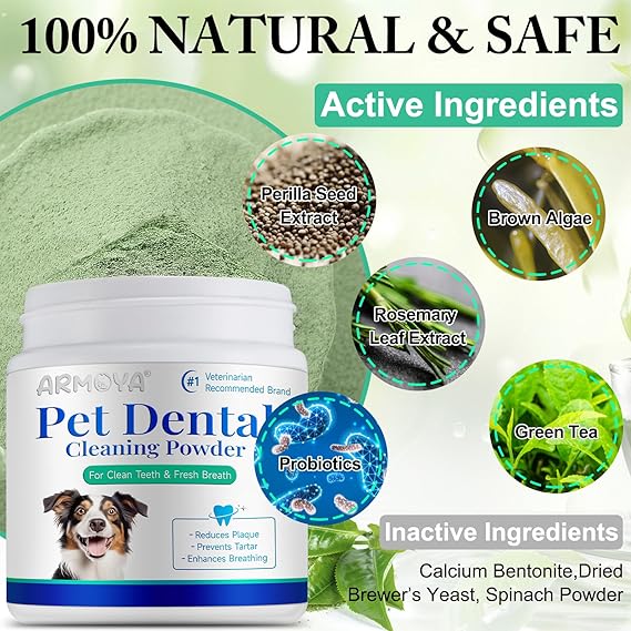 Probiotic Dental Powder: Natural Oral Care for Dogs & Cats!