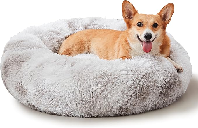 Personalized Pet Beds: Ultimate Comfort & Well-Being for Your Best Friend!
