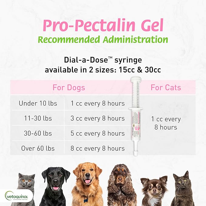 Pro-Pectalin: Fast, Gentle Diarrhea Relief for Dogs & Cats!