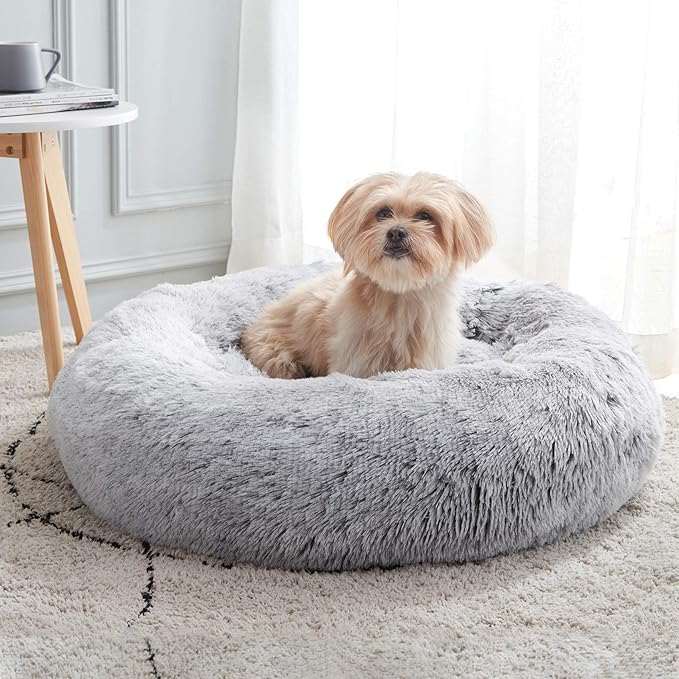 Personalized Pet Beds: Ultimate Comfort & Well-Being for Your Best Friend!