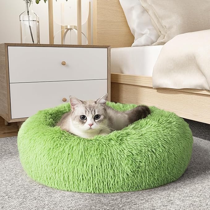 Personalized Pet Beds: Ultimate Comfort & Well-Being for Your Best Friend!