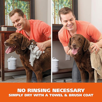 Wahl Oatmeal & Verbena Dry Shampoo: Gentle, No-Rinse Pet Care!