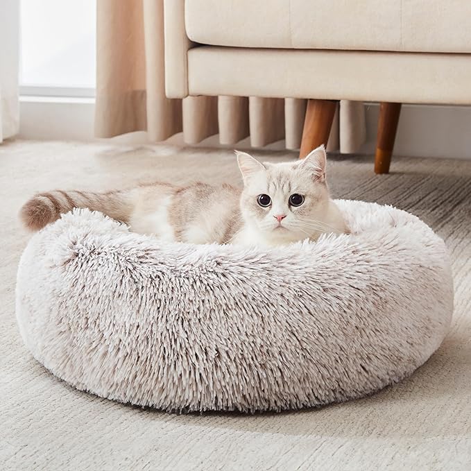 Personalized Pet Beds: Ultimate Comfort & Well-Being for Your Best Friend!
