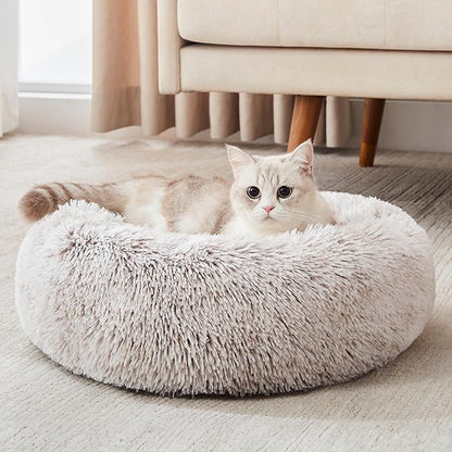 Personalized Pet Beds: Ultimate Comfort & Well-Being for Your Best Friend!