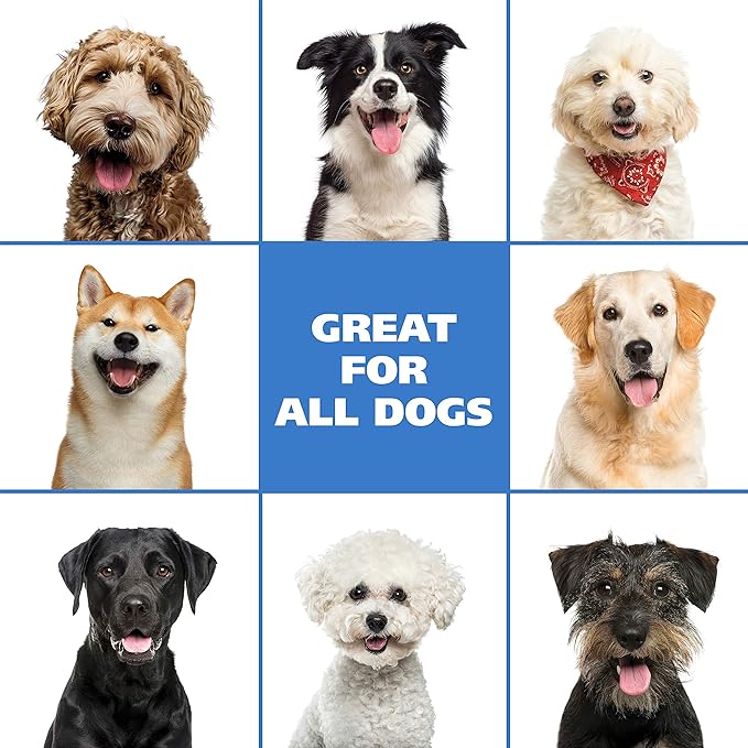 Wahl Oatmeal & Verbena Dry Shampoo: Gentle, No-Rinse Pet Care!